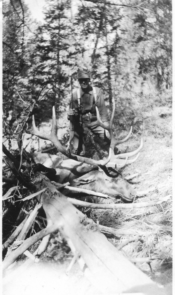 Matchett Elk 1936